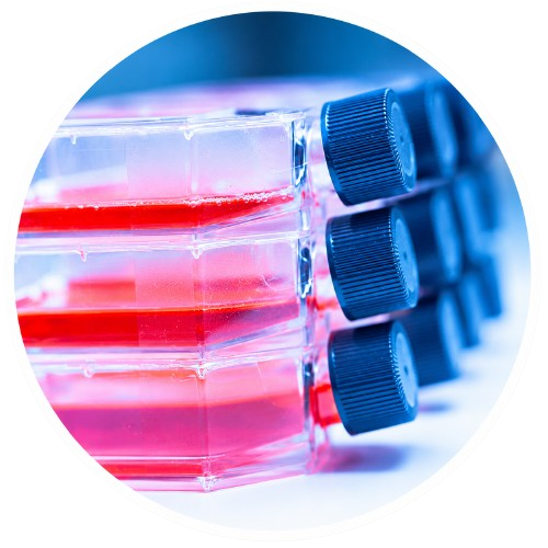 Membrane Proteins