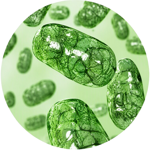 Metabolomics Illustration